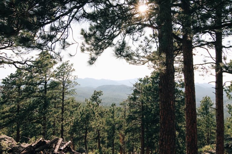 Embracing Nature: The Art of Slow Travel